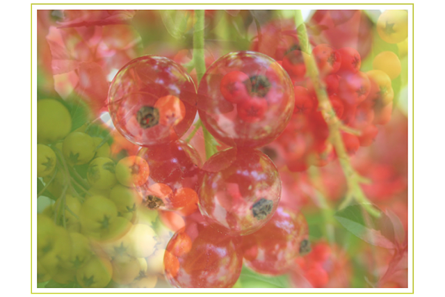 CSS Animated Slideshow